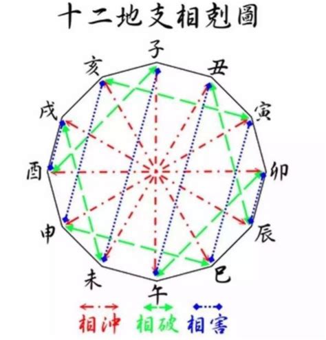 地支怎麼看|命理的基礎：十二地支